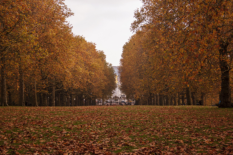 Buckingham Palace - London, England - October 2019